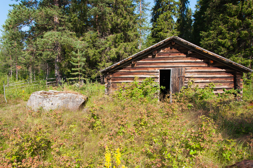 fäboden-16